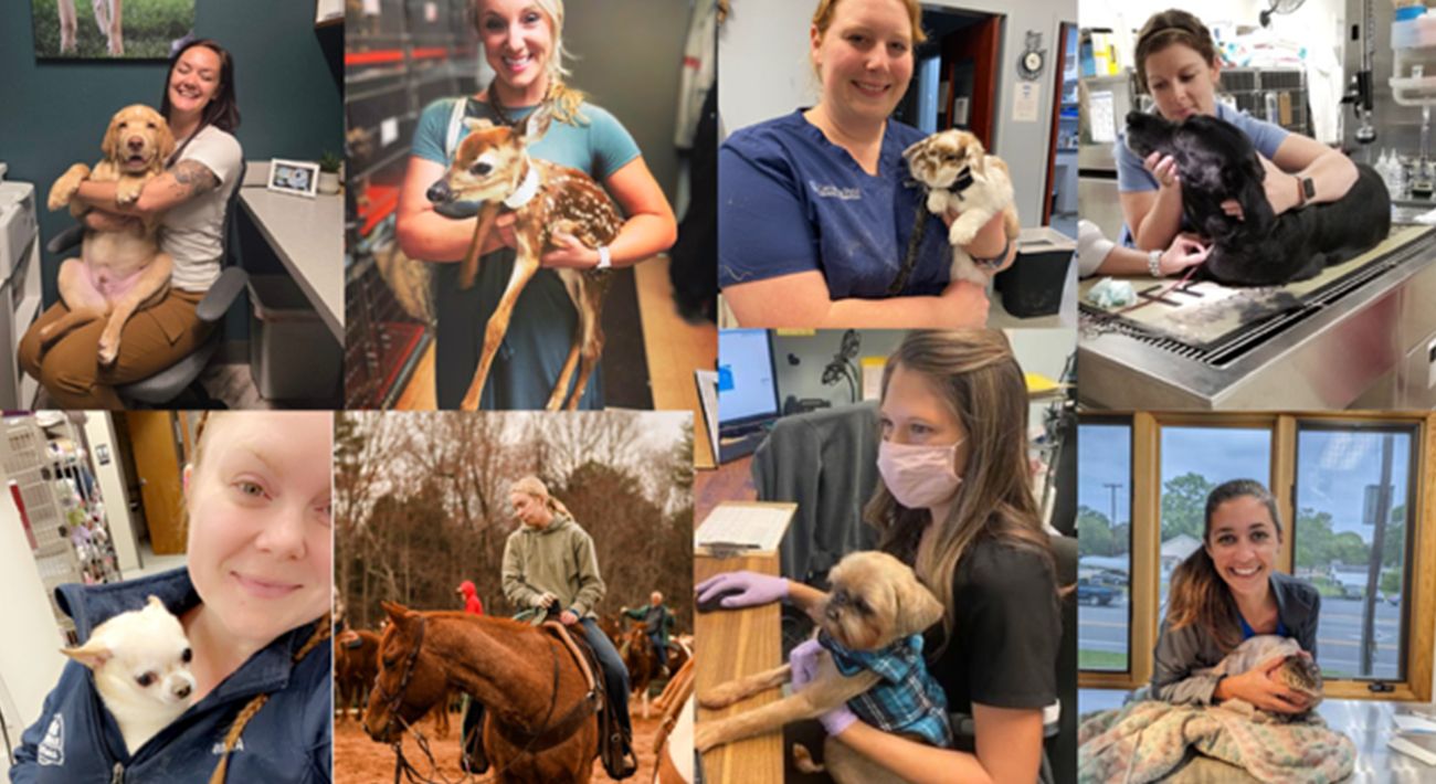 VerticalVet team