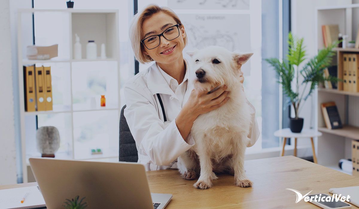 professional-veterinarian-examining-dog